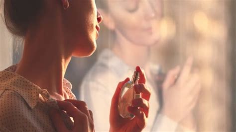 perfume knowledge|beginners guide to fragrance.